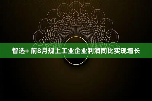 智选+ 前8月规上工业企业利润同比实现增长